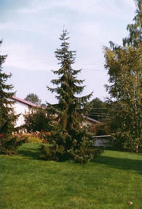 Scan_haus_0028
