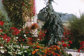 Scan_haus_0029