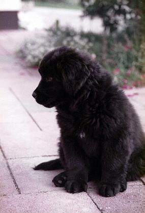 Scan_asta_0067