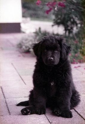 Scan_asta_0068