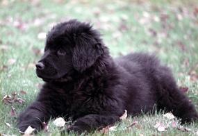 Scan_asta_0070