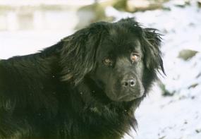 Scan_asta_0057