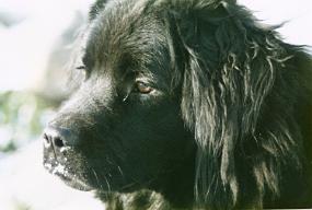 Scan_asta_0058