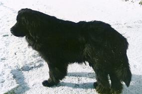 Scan_asta_0059