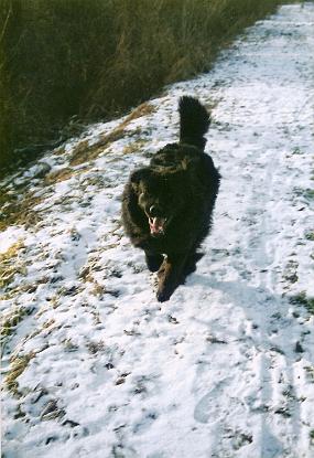 Scan_asta_0060