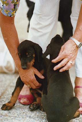Scan_sir_0074