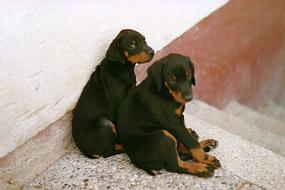 Scan_sir_0075