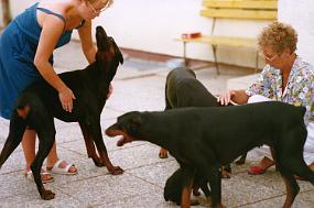 Scan_sir_0078