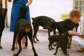 Scan_sir_0082