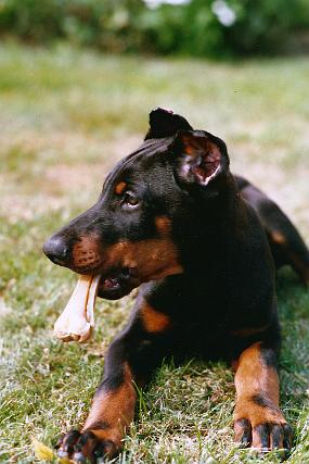Scan_sir_0085