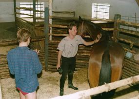 scan0041_a
