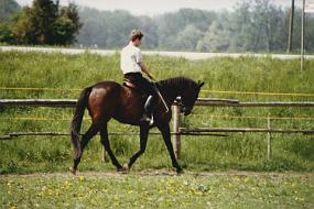 scan0047_a