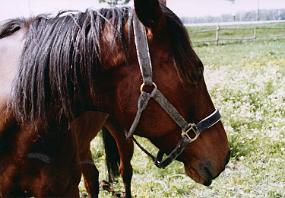 scan0053_a
