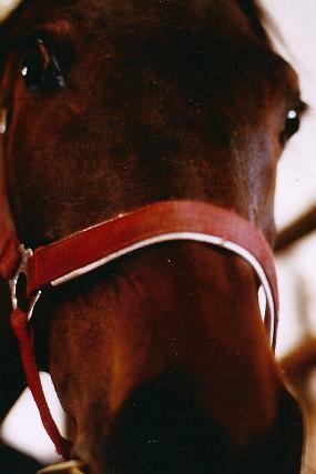 scan0055_a