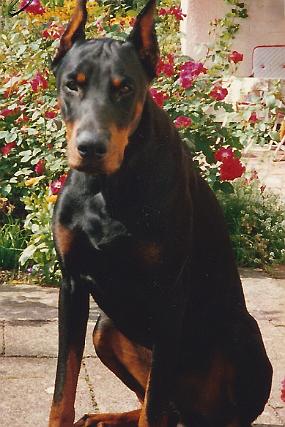 scan0019_a