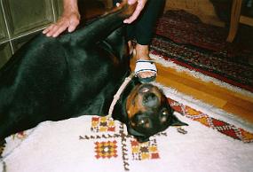 scan0020_a