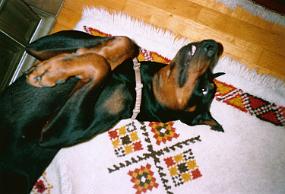 scan0021_a