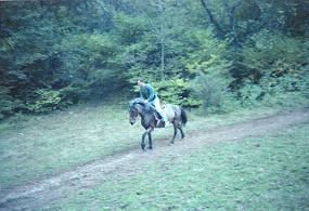 scan0013_f