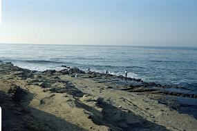 scan0019