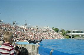 scan0023