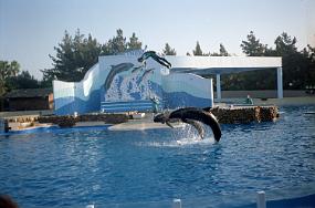 scan0008