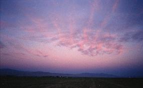 scan0012