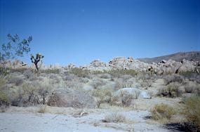 scan0015