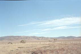scan0028