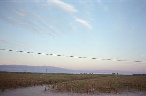 scan0041