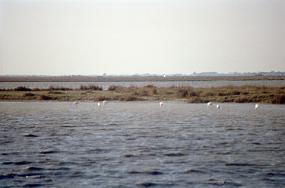 scan0009_b_exposure