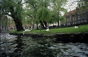 scan0018_ps_filtered