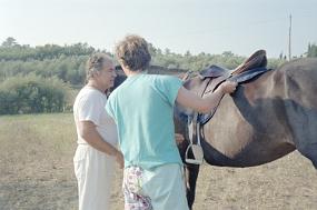 scan0006