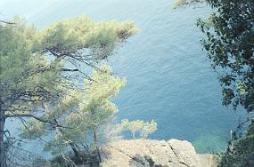 scan0004