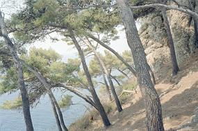 scan0006