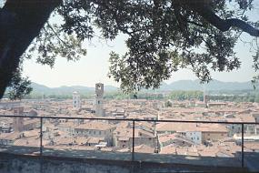 scan0030