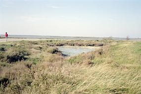 scan0022_exposure