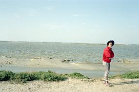 scan0023_exposure