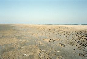 scan0027_exposure