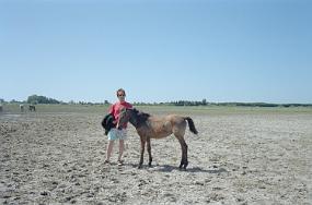 scan0017