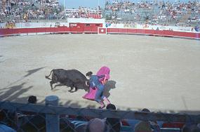 scan0031
