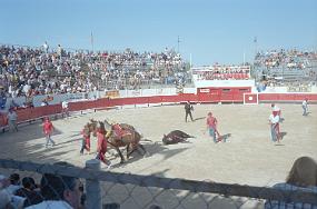 scan0032