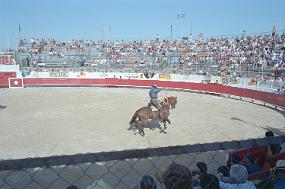 scan0033
