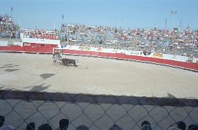 scan0037