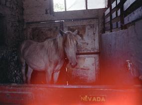 scan0014_exposure