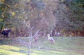 scan0015_exposure