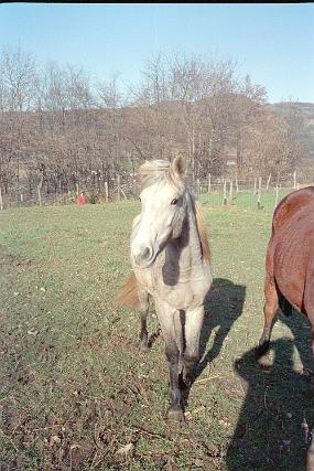 scan0003_n_exposure