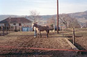 scan0022_n_exposure