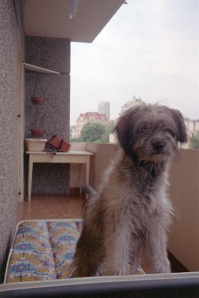 scan0029_exposure