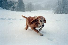 scan0002_exposure
