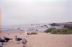 scan0025_exposure